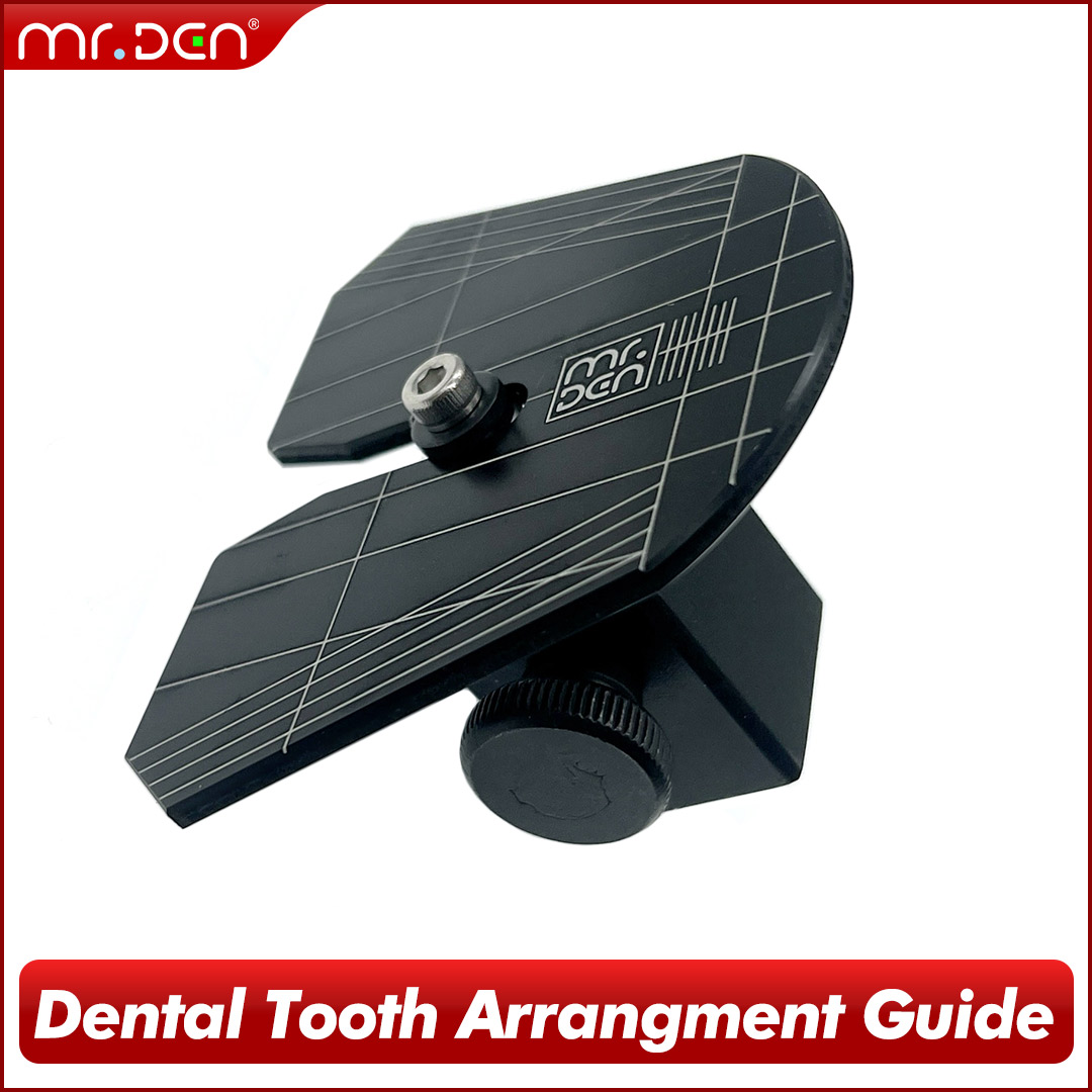 2026 MR DEN Cyfrowy przewodnik – 3D Printing Tooth recenzja i cena